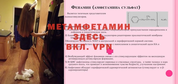 шишки Белокуриха