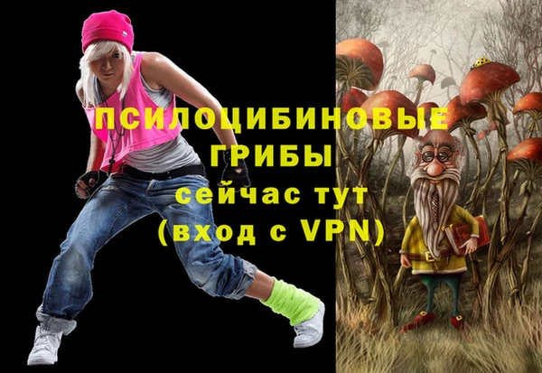 МДПВ Беломорск