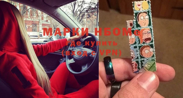 шишки Белокуриха