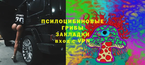 крисы Новокубанск