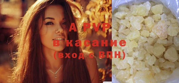 крисы Новокубанск