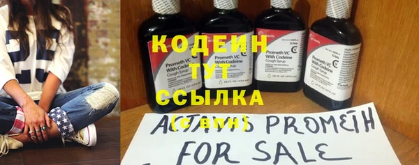 шишки Белокуриха